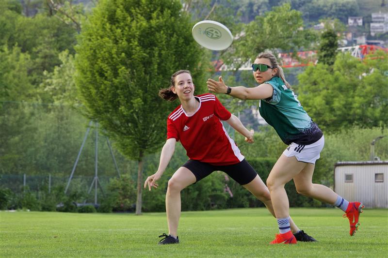 frisbee